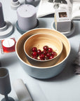 smoke + storm | bebb | biodegradable bamboo bowls - porter green | style + sustainability