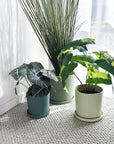 green | swipp 1 | silicone unbreakable pot planter