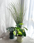 green | swipp 1 | silicone unbreakable pot planter