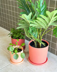 muted orange | swipp 1 | silicone unbreakable pot planter