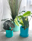 turquoise | swipp 1 | silicone unbreakable pot planter