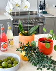 bright orange | swipp 2 | silicone unbreakable pot planter