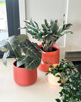muted orange | swipp 2 | silicone unbreakable pot planter
