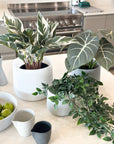grey | swipp 2 | silicone unbreakable pot planter