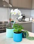 teal | swipp 2 | silicone unbreakable pot planter