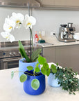 blue | swipp 2 | silicone unbreakable pot planter