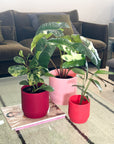 red | swipp 3 | silicone unbreakable pot planter
