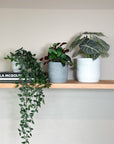 grey | swipp 3 | silicone unbreakable pot planter