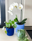 blue | swipp 3 | silicone unbreakable pot planter