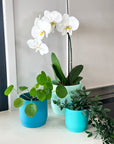 turquoise | swipp 3 | silicone unbreakable pot planter