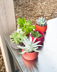 warm palette | swipp 4 | silicone unbreakable pot planter