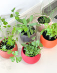 warm palette | swipp 4 | silicone unbreakable pot planter