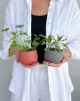 warm palette | swipp 4 | silicone unbreakable pot planter