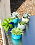 cool palette | swipp 4 | silicone unbreakable pot planter