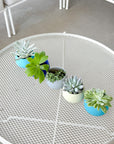 cool palette | swipp 4 | silicone unbreakable pot planter
