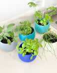 cool palette | swipp 4 | silicone unbreakable pot planter