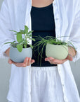 cool palette | swipp 4 | silicone unbreakable pot planter