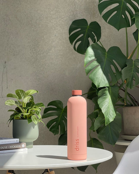 terra + peach | driss | insulated stainless steel bottle | porter green, 1l water bottle, insulated stainless steel water bottle, thermos water bottle, 1l drink bottle, insulated wine bottle