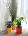 bright orange | swipp 1 | silicone unbreakable pot planter