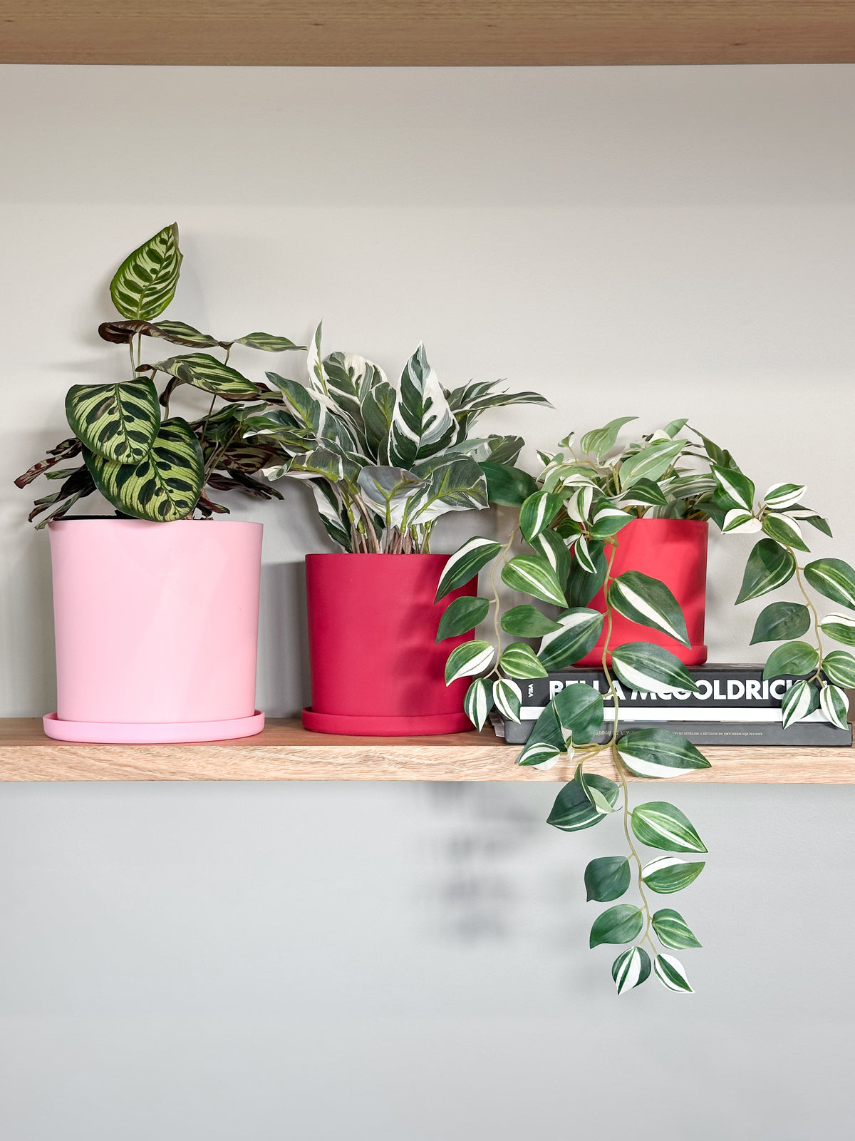 red | swipp 1 | silicone unbreakable pot planter