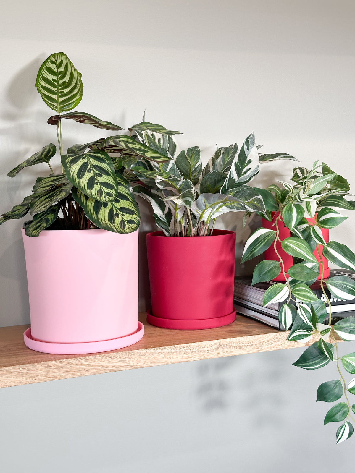 red | swipp 1 | silicone unbreakable pot planter