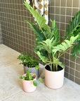 brown | swipp 1 | silicone unbreakable pot planter
