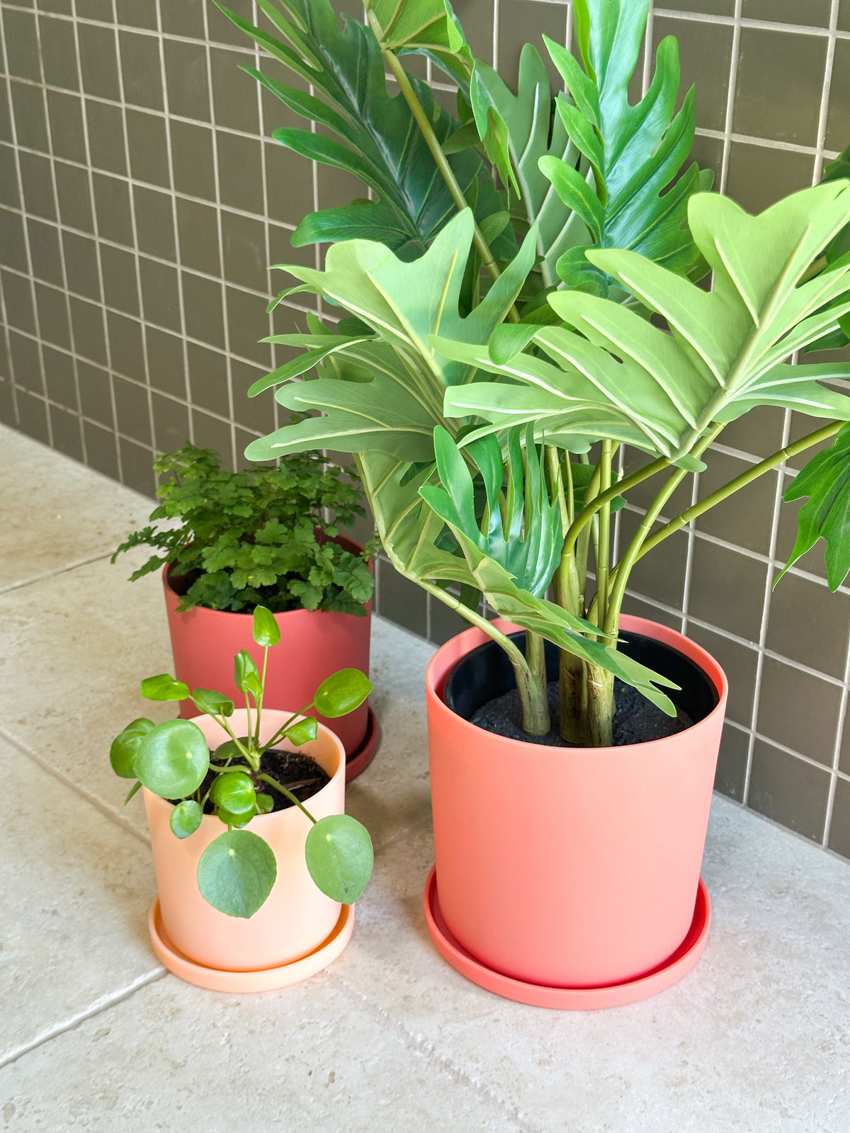 muted orange | swipp 1 | silicone unbreakable pot planter