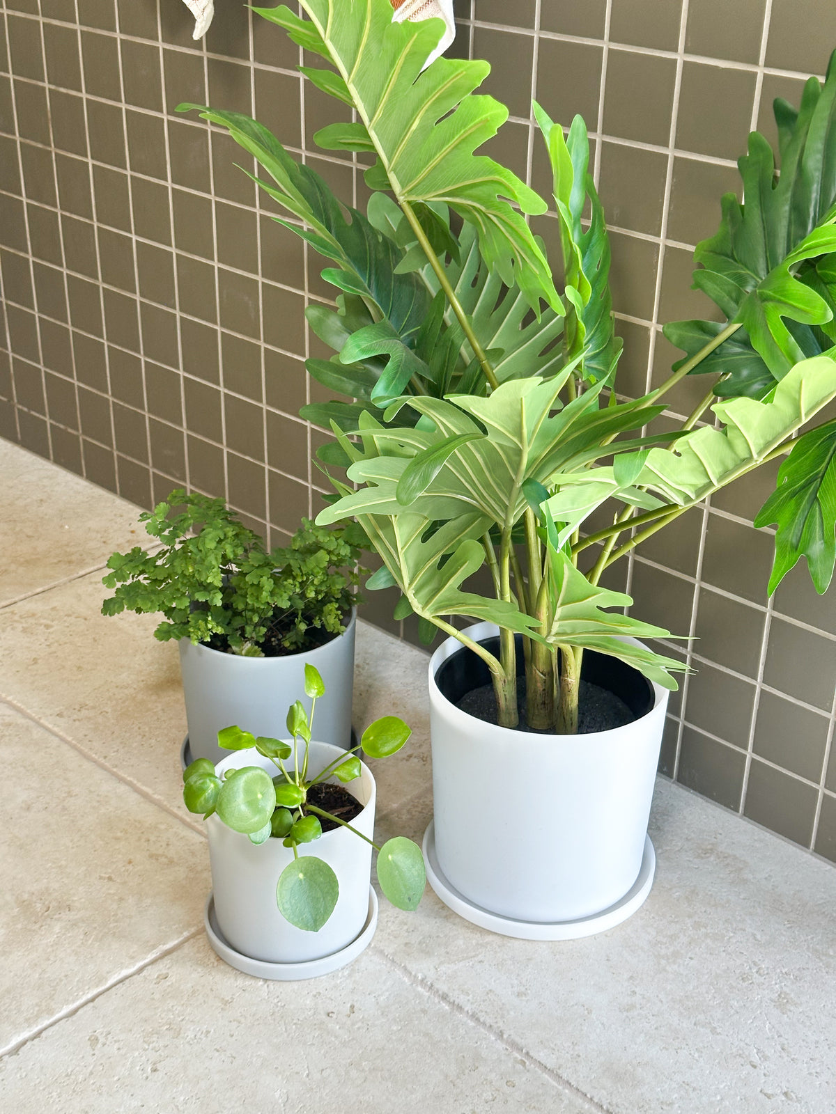 grey | swipp 1 | silicone unbreakable pot planter