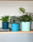 teal | swipp 1 | silicone unbreakable pot planter