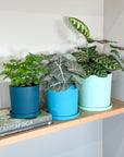 teal | swipp 1 | silicone unbreakable pot planter