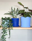 blue | swipp 1 | silicone unbreakable pot planter