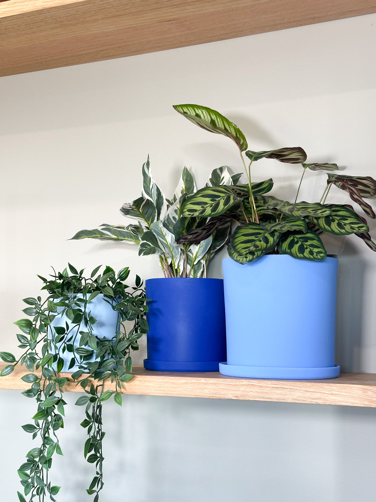 blue | swipp 1 | silicone unbreakable pot planter