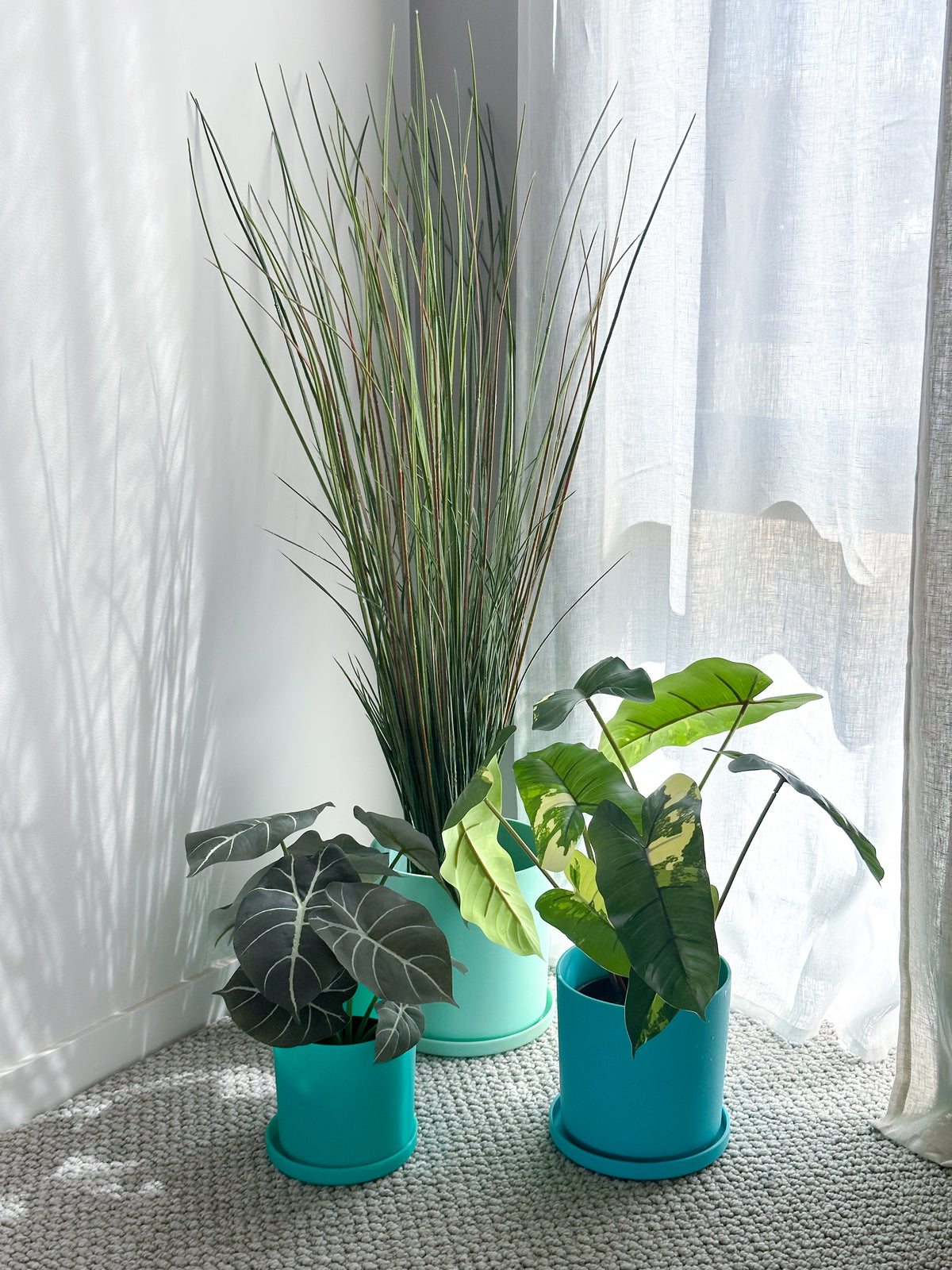 turquoise | swipp 1 | silicone unbreakable pot planter