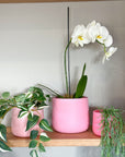 pink | swipp 2 | silicone unbreakable pot planter