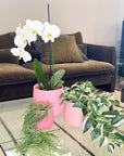 pink | swipp 2 | silicone unbreakable pot planter