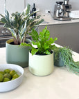 green | swipp 2 | silicone unbreakable pot planter