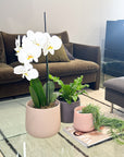 brown | swipp 2 | silicone unbreakable pot planter