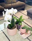 brown | swipp 2 | silicone unbreakable pot planter