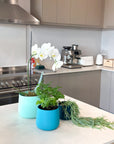 teal | swipp 2 | silicone unbreakable pot planter