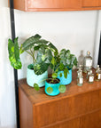turquoise | swipp 2 | silicone unbreakable pot planter