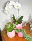 pink | swipp 3 | silicone unbreakable pot planter
