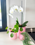 pink | swipp 3 | silicone unbreakable pot planter