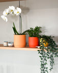 bright orange | swipp 3 | silicone unbreakable pot planter