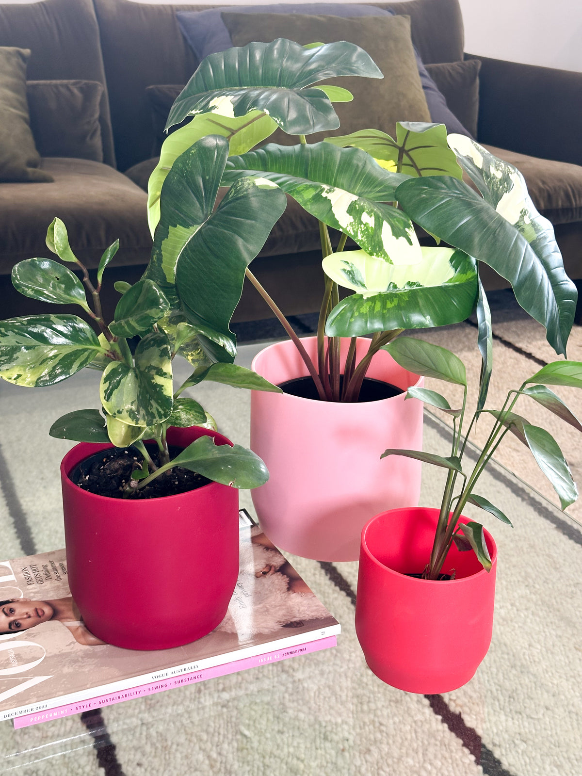 red | swipp 3 | silicone unbreakable pot planter