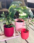 red | swipp 3 | silicone unbreakable pot planter