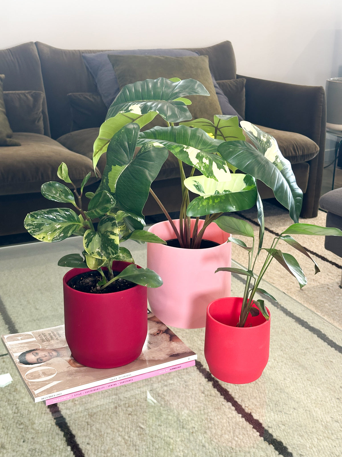 red | swipp 3 | silicone unbreakable pot planter