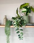 green | swipp 3 | silicone unbreakable pot planter