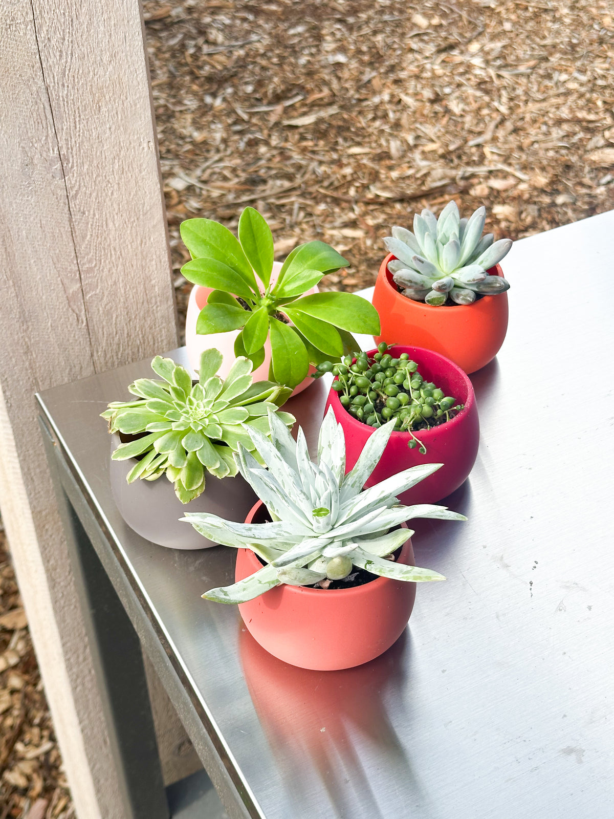 warm palette | swipp 4 | silicone unbreakable pot planter