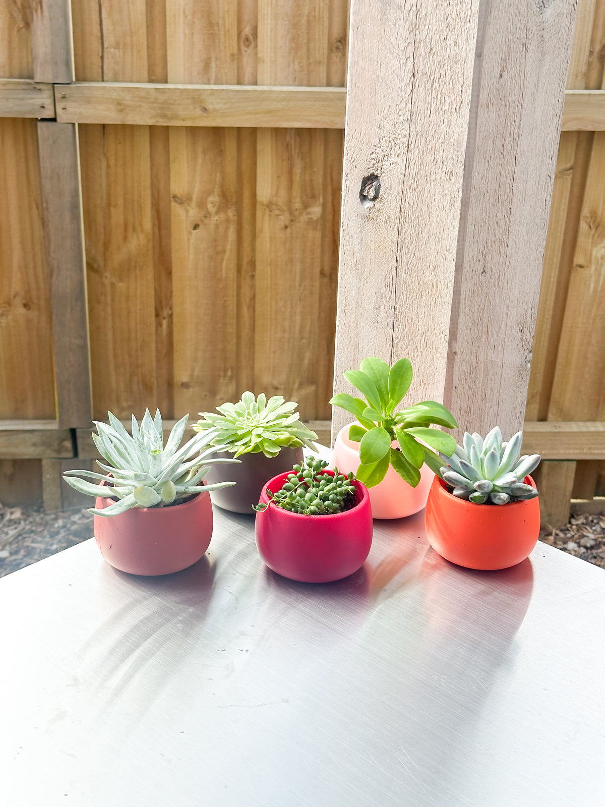 warm palette | swipp 4 | silicone unbreakable pot planter