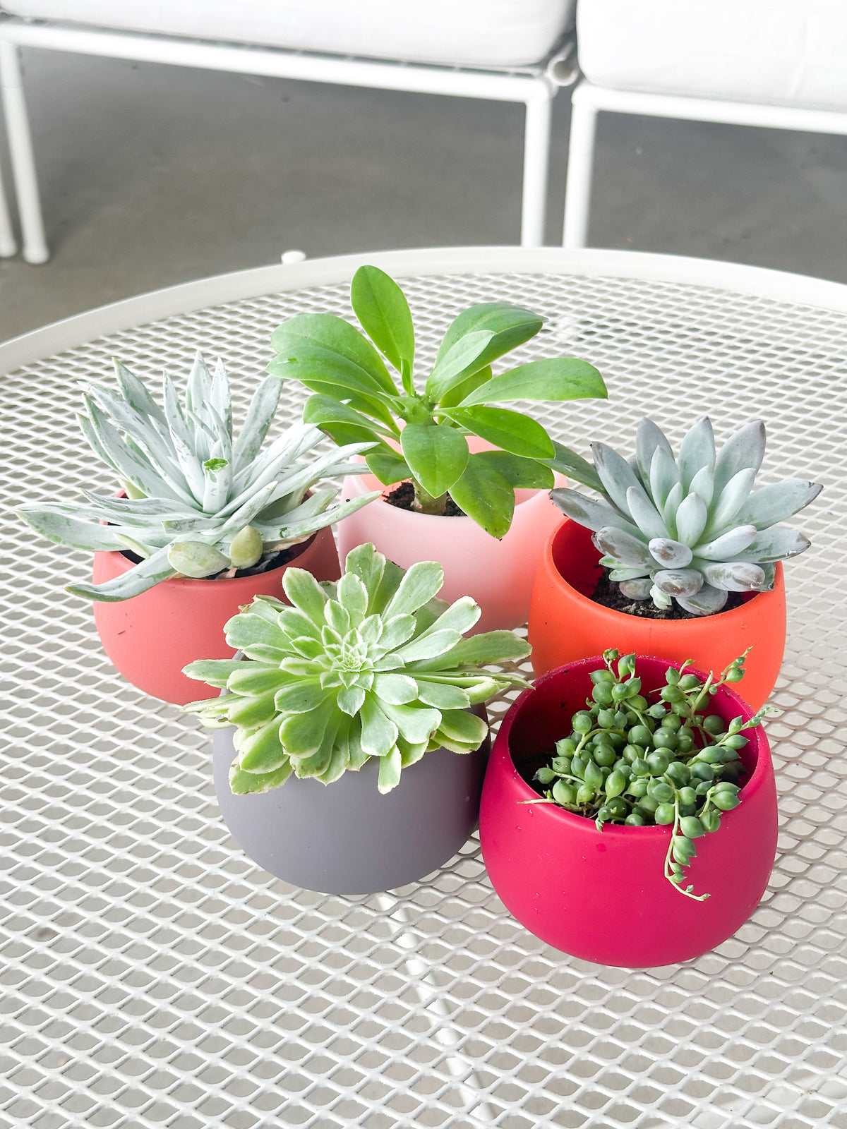 warm palette | swipp 4 | silicone unbreakable pot planter
